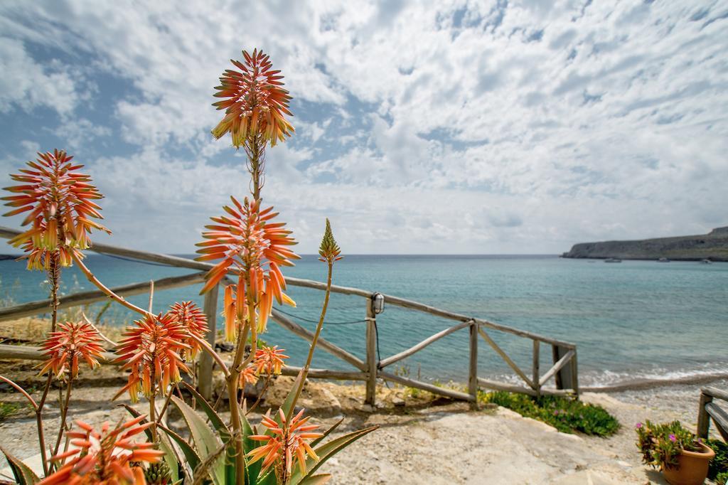 Coral Front Beach Káto Zákros الغرفة الصورة