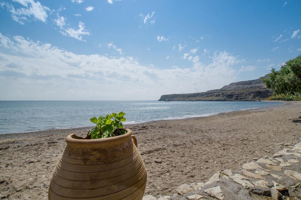 Coral Front Beach Káto Zákros الغرفة الصورة