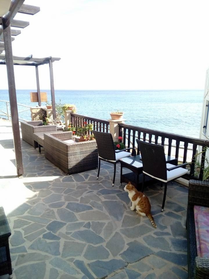 Coral Front Beach Káto Zákros المظهر الخارجي الصورة